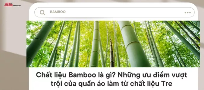 Bamboo 1